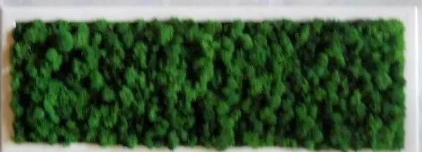 Quadro Moss cm. 20 x 60 - Sconti per Fioristi e Aziende . - Head e Flat work