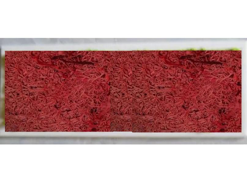 Quadro Moss cm. 20 x 60 - Sconti per Fioristi e Aziende . - Head e Flat work