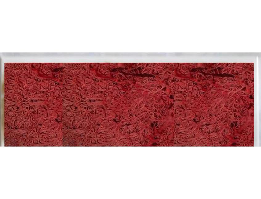 Quadro Moss cm. 20 x 60 - Sconti per Fioristi e Aziende . - Head e Flat work