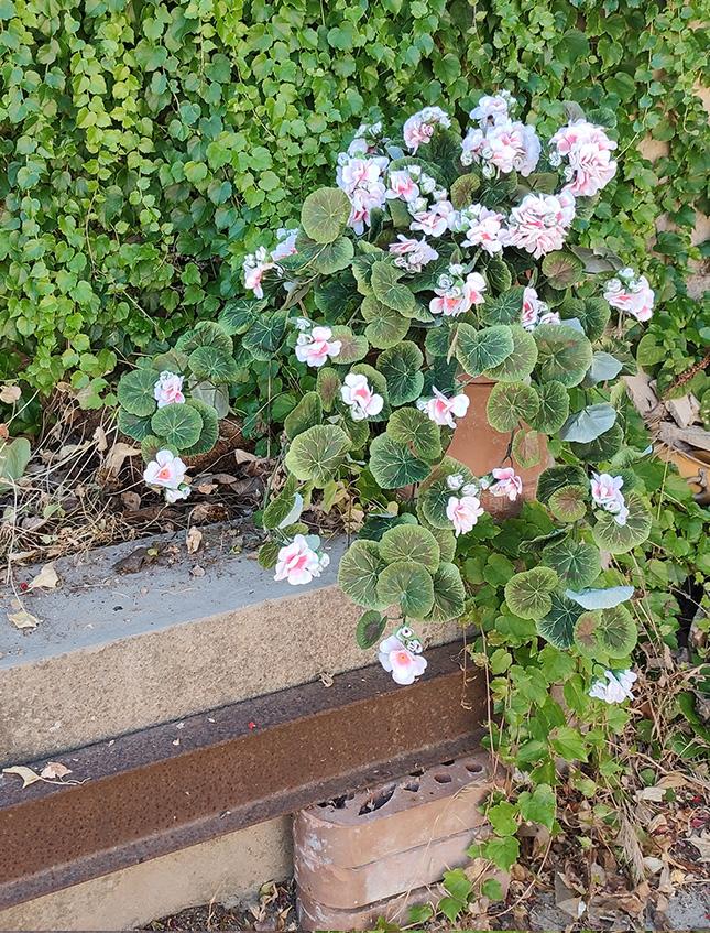 Bouganvillea cadente Bianca H 130 cm artificiale - Sconti per Fioristi e Aziende e Wedding