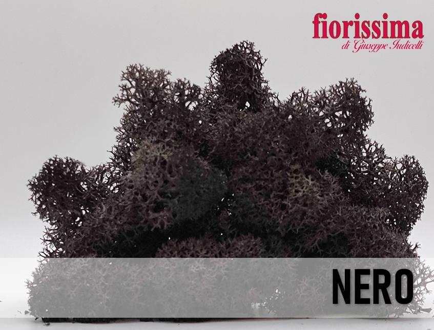 Muschio Nordico Naturale gr. 500 Preservato - Sconti per Fioristi e Aziende - Lichene preservato