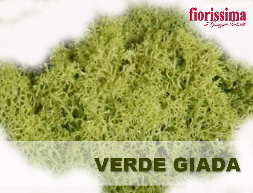 Muschio Nordico Naturale gr. 500 Preservato - Sconti per Fioristi e Aziende Fiorissima Lichene preservato