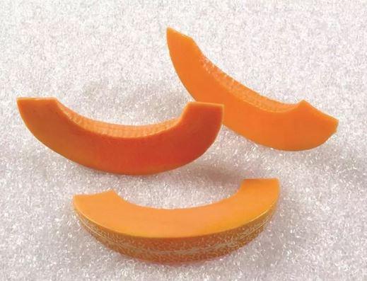 Melone fetta artificiale in plastica - Sconti per Fioristi e Aziende e Wedding . - cm. 18 x 4
