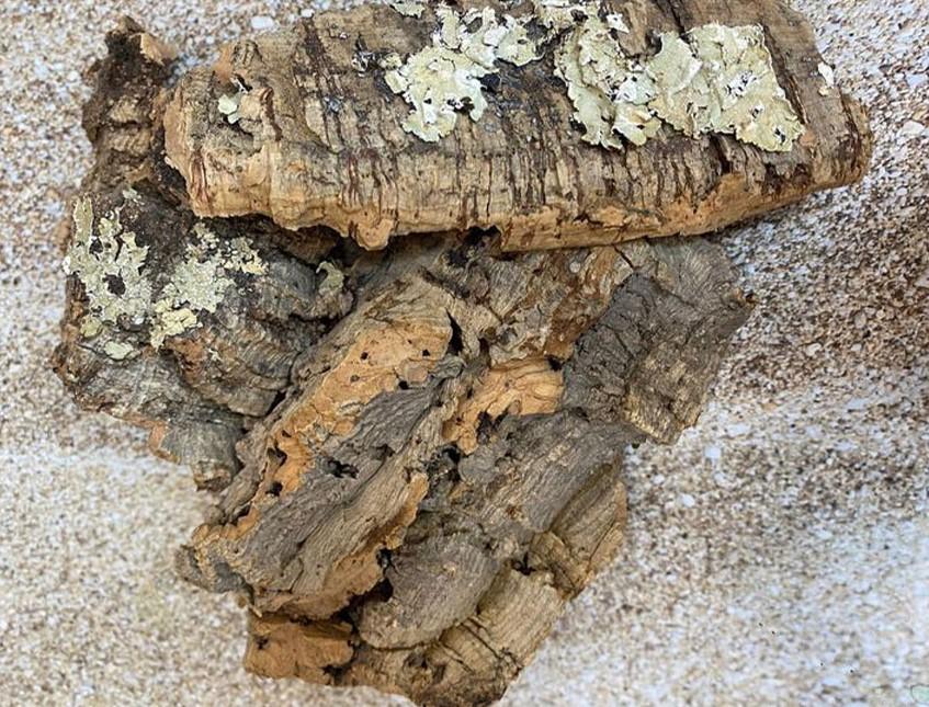 Corteccia di Sughero al Kg.- Sconti per Fioristi e Aziende . - Spessore 2-3 cm. circa