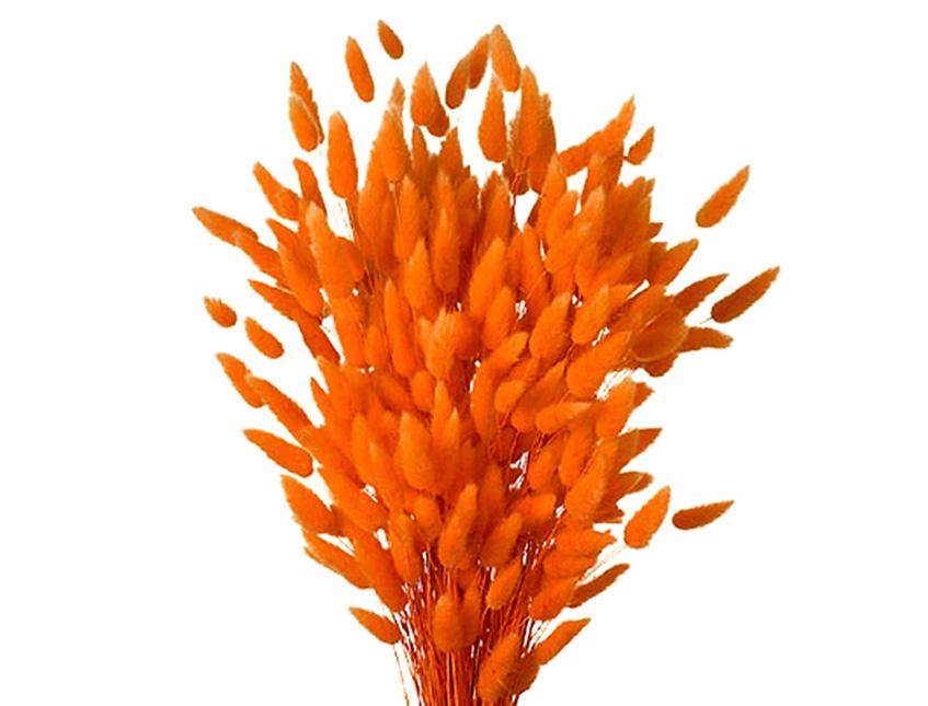 Colorante per immersione . - Adatto per fiori secchi e fronde - da Miscelare con Solvente