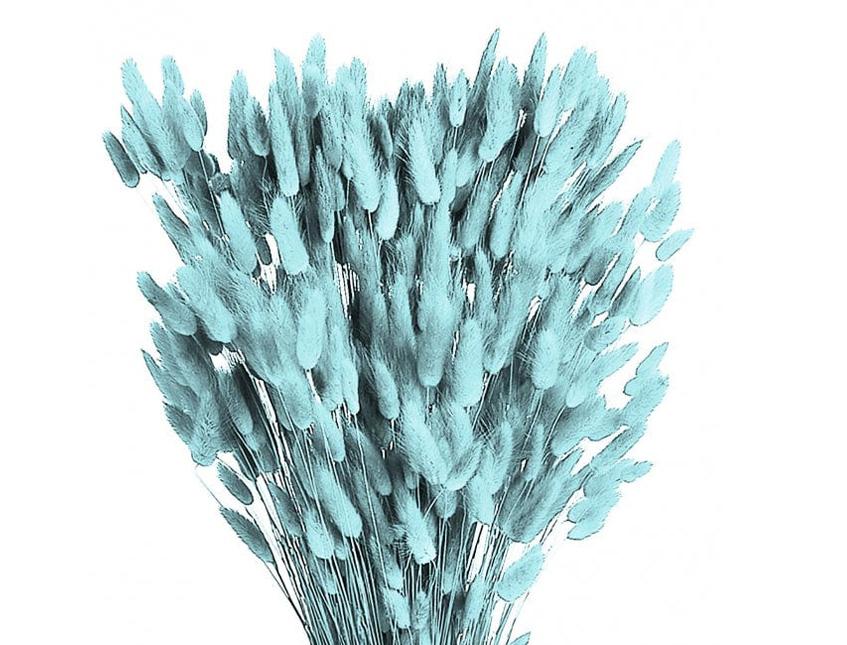 Colorante per immersione . - Adatto per fiori secchi e fronde - da Miscelare con Solvente