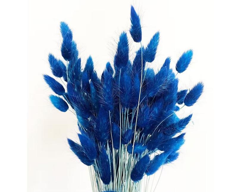 Colorante per immersione . - Adatto per fiori secchi e fronde - da Miscelare con Solvente