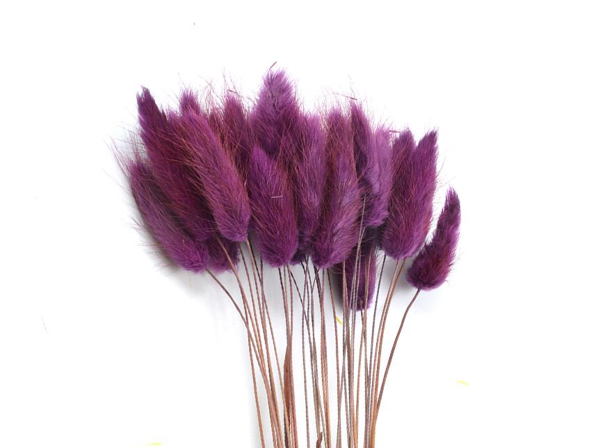 Colorante per immersione . - Adatto per fiori secchi e fronde - da Miscelare con Solvente