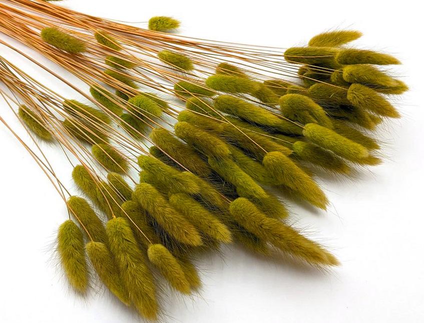 Colorante per immersione . - Adatto per fiori secchi e fronde - da Miscelare con Solvente