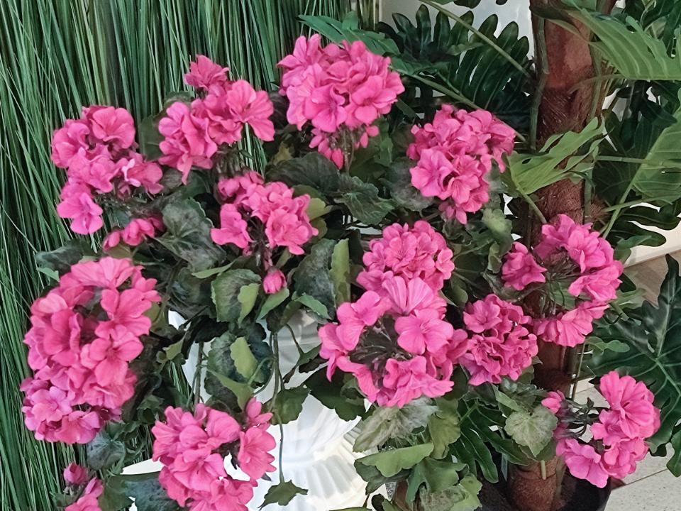 Geranio Cadente H 56 Lux - Sconti per Fioristi e Aziende Fiorissima in poliester vellutato