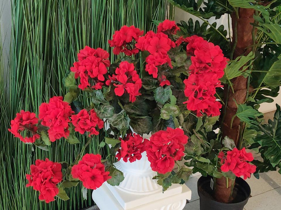 Geranio Cadente H 56 Lux - Sconti per Fioristi e Aziende Fiorissima in poliester vellutato