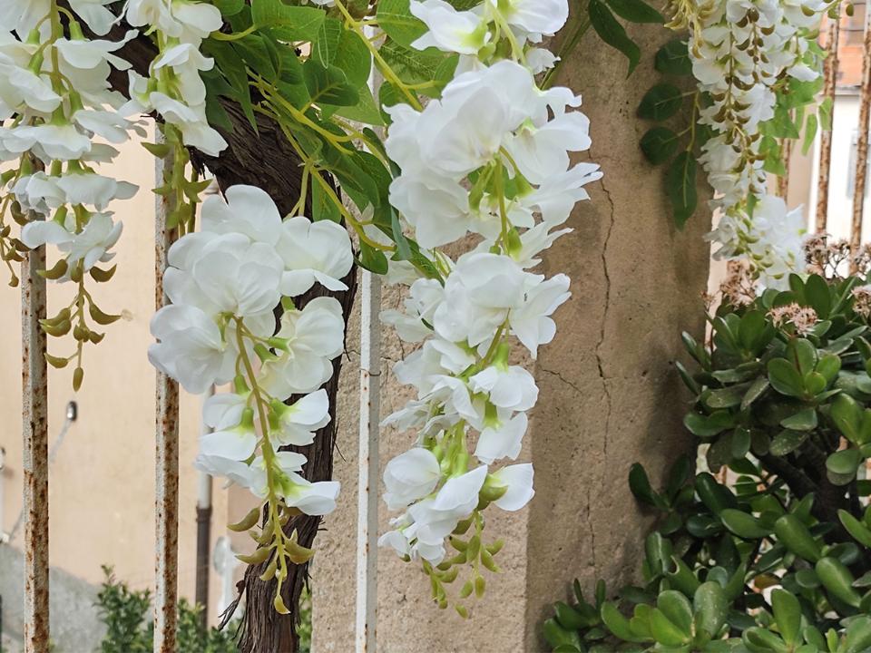 Glicine x 3  H 85 in poliester - Sconti per fioristi e aziende . - Vari colori