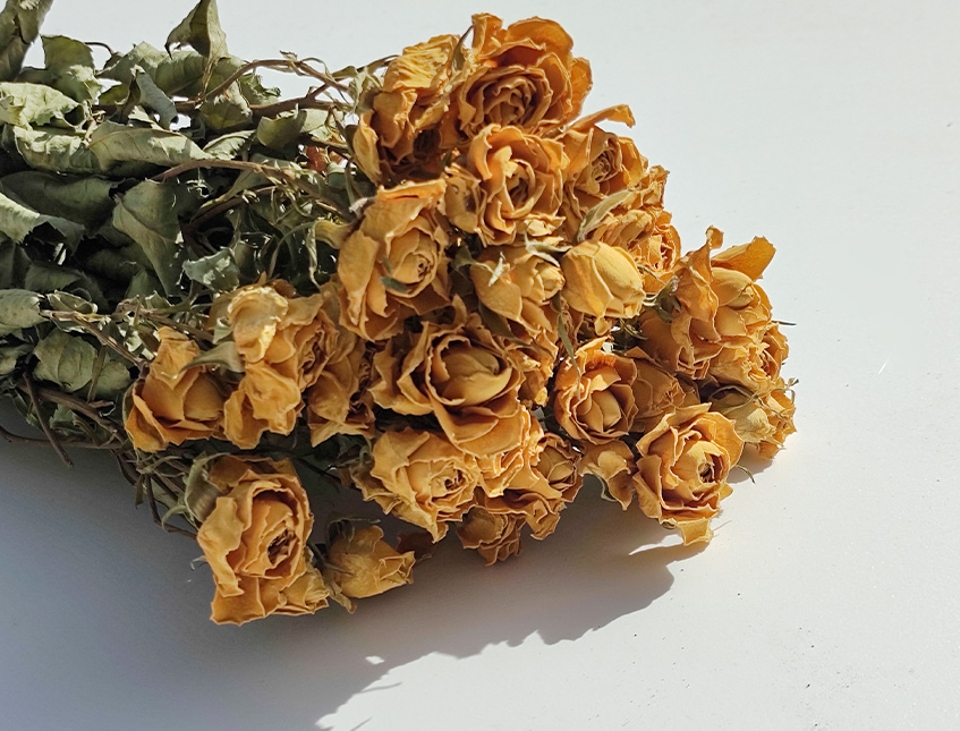 Rose x 20 Dry H 60 dm. 2.5 cm - Sconto per Fioristi e Aziende .