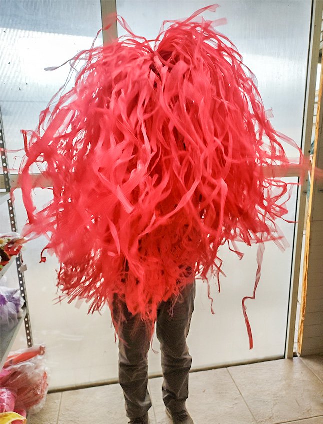 Ciuffo scheletrico H 80 - Sconto per Fioristi e Aziende - due colori