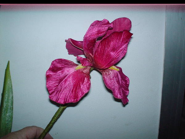Iris Artificiale Singolo H 100- Sconti per Fioristi e Aziende . - in velluto
