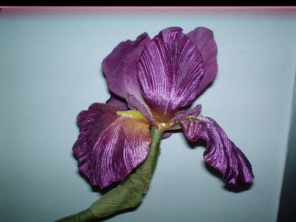 Iris Artificiale Singolo H 100- Sconti per Fioristi e Aziende . - in velluto