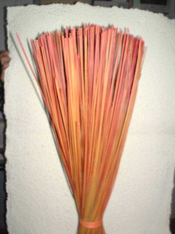 Equisetum Stem H 80  - Sconti per Fioristi e Aziende - Mazzo Kg. 1 Stabilizzato