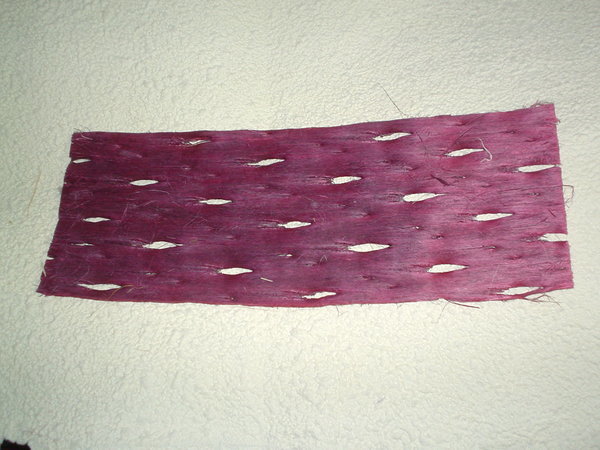 Papaia net naturale colorata disidratata gr. 500 - Sconti per Fioristi e Aziende