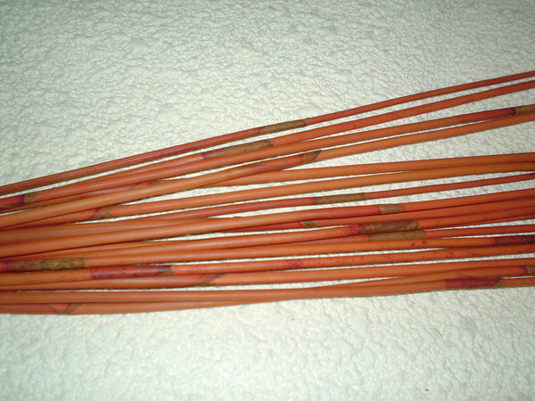 Equisetum Red Bundle  - Sconti per Fioristi e Aziende . - Mazzo gr. 200 stabilizzato