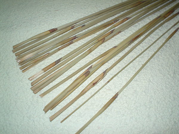 Equisetum Red Bundle  - Sconti per Fioristi e Aziende . - Mazzo gr. 200 stabilizzato