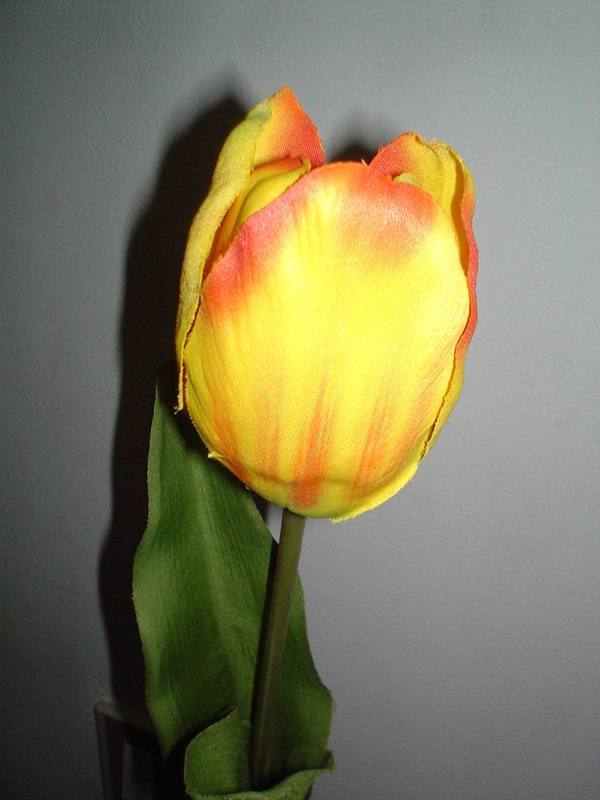 Tulipano Olandese H 47  Artificiale in poliestere - Sconti per Fioristi e Aziende .