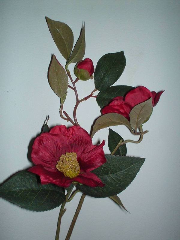 Camelia x 3 Arredo in poliester - Sconti per Fioristi e Aziende .