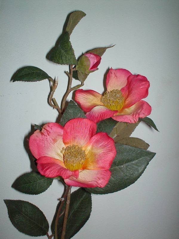 Camelia x 3 Arredo in poliester - Sconti per Fioristi e Aziende .