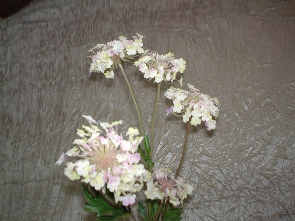 Queen Anne's Lace x 3  H 84 - Sconti per Fioristi e Aziende . - In poliester