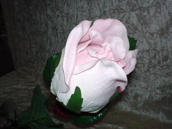 Rosa e Bocciolo Gigante H 130 - Sconti per Fioristi e Aziende . - in Micropeach