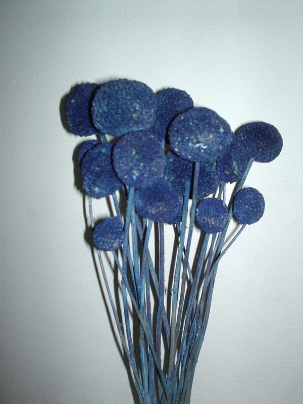 Craspedia Globosa Colorata- Bill Botton Stabilizzato - Sconti per Fioristi e Aziende