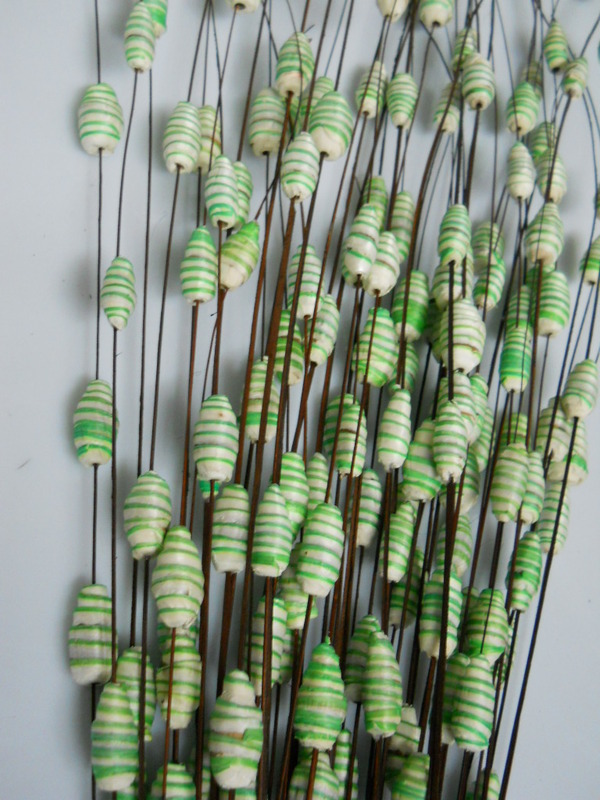 Zebra Ting x 50 steli naturali - Sconti per Fioristi e Aziende