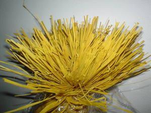 Rafia Colorata Busta gr. 300