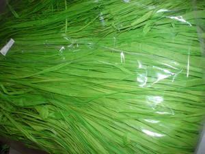 Rafia Colorata Busta gr. 300