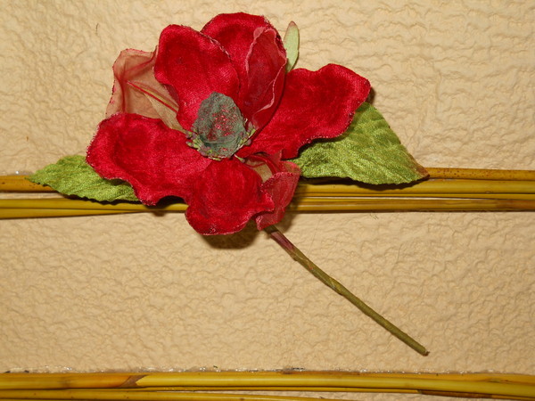 Magnolia Velluto Rosso  - Sconti per Fioristi e Aziende . - dm.15 e 25