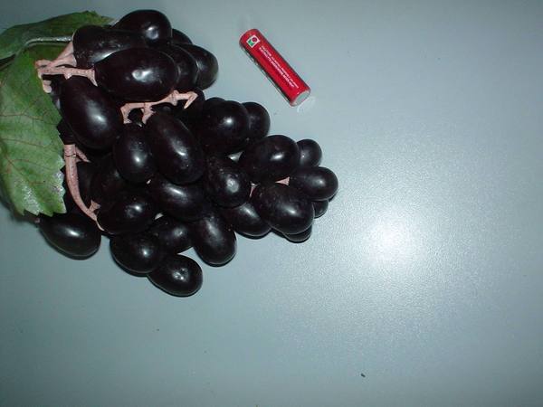 Uva large cm. 25 in lattice morbido - Sconti per Fioristi e Aziende