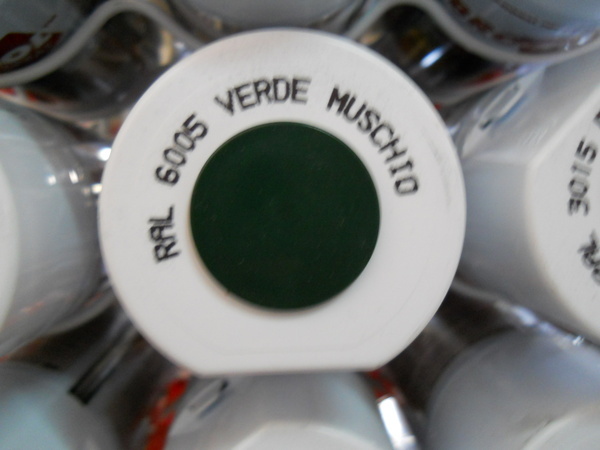 Smalto Spray ml. 400 a rapida essicazione - Sconti per Fioristi e Aziende
