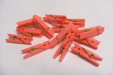 Mollette in Plastica mm. 37 X 6 conf. 24 pezzi - Sconti per Fioristi e Aziende