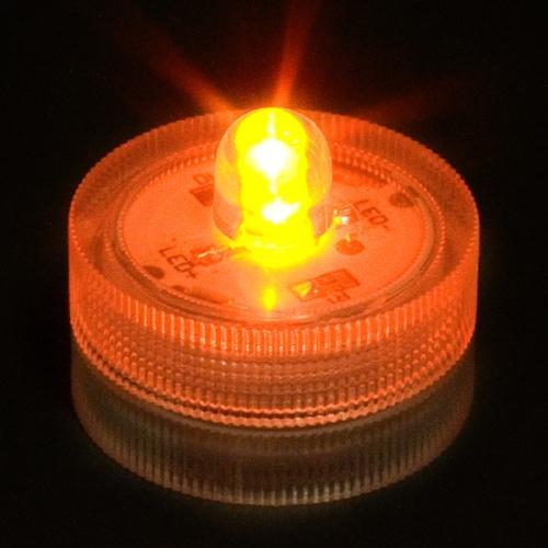 Led Lights waterproof  - Sconti per Fioristi e Aziende - A batteria