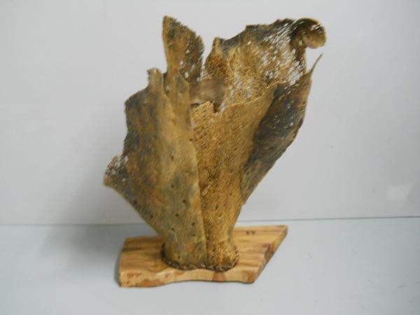 Vaso in trama di fico d'india Ovale in 3 misure