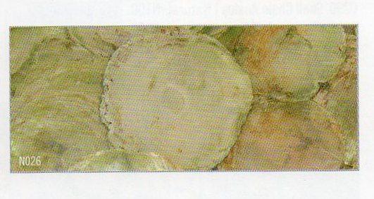 Cerchi in vera Madreperla  - Sconti per Fioristi e Aziende - dm. 10/12 Shell Capiz gr.250