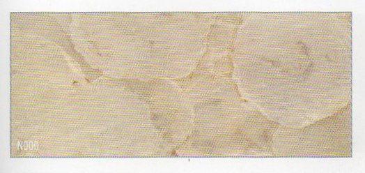 Cerchi in vera Madreperla  - Sconti per Fioristi e Aziende - dm. 10/12 Shell Capiz gr.250