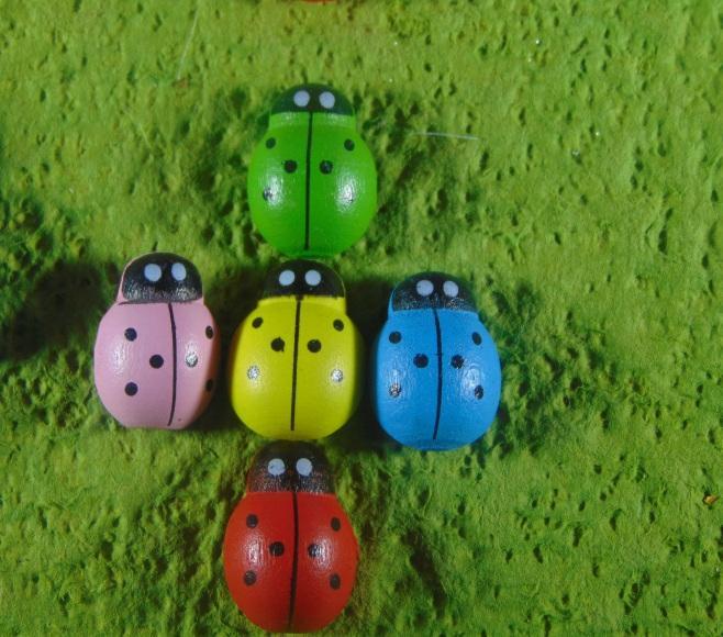 Coccinelle in legno colori diversi con biadesivo mm.13 - mm.18 - mm. 25 - Sconti per Fioristi e Aziende