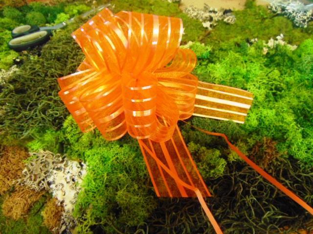 Fiocco rapid Organza H 60  - Sconti per Fioristi e Aziende - spezzone singolo