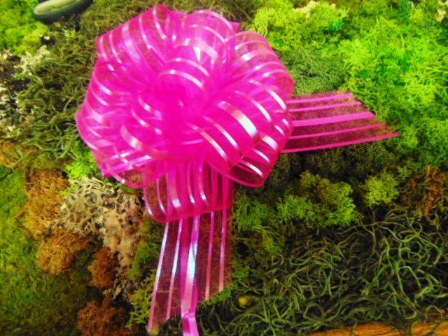 Fiocco rapid Organza H 60  - Sconti per Fioristi e Aziende - spezzone singolo