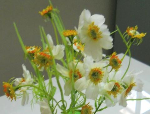 Cosmos Bouquet x 5 in poliester - Sconti per Fioristi e Aziende