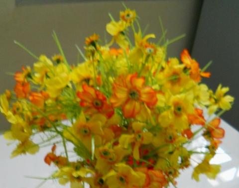 Cosmos Bouquet x 5 in poliester - Sconti per Fioristi e Aziende