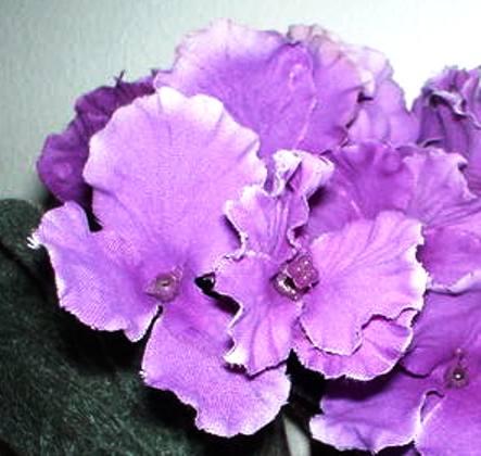 Sampaulia velvet bush Artificiale in poliestere - Sconti per Fioristi e Aziende
