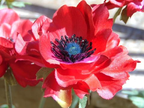 Anemoni spray x 2 H 56 in poliestere - Sconti per Fioristi e Aziende .