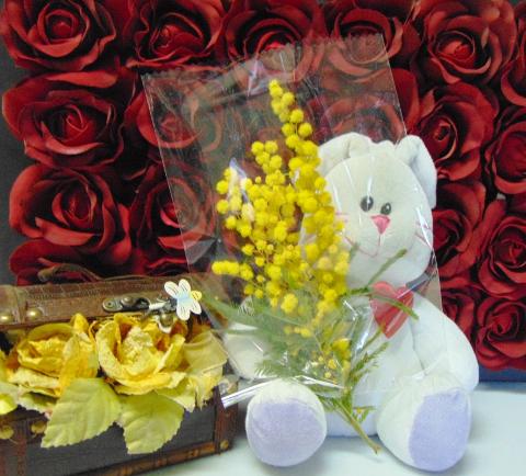 ESAURITA Mimosa fresca in busta  - Sconti per Fioristi e Aziende - Trasparente rami da cm. 20/25 - 30/40 - 45/50