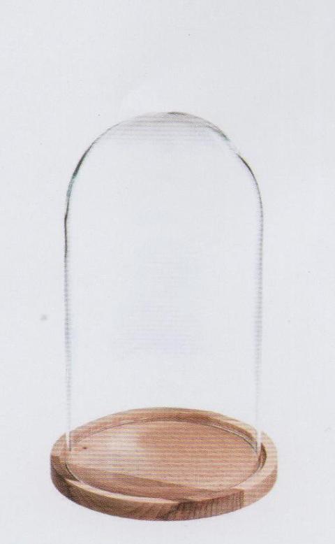 Campana in vetro H 27 dm. 15 con e senza basi - Sconti per Fioristi e Aziende
